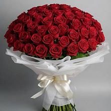 Букет 101 Красная роза Блэк Мэджик в Ильинское