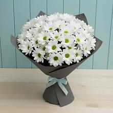 Букет цветов из:  Хризантемы #REPLACE_PRED# Ильинское