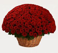 Премиум букет из: Розы в Ильинское